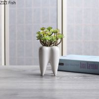 Creative Tooth Vase Succulent Ceramic Flower Pot Living Room Desktop Balcony Decoration Decoration Home White Tooth Vase Crafts