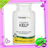 Free and Fast Delivery Nature S Plus Icelandic Kelp 300 Tablets Vitamin Minerals, Seaweed, Celp, iodine, NatureSplus NatureSplus