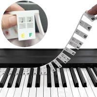 【YF】 88 Keys Removable Silicone Stickers Note Labels Score Display Reusable Instrument Accessory