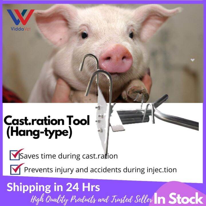 Viddavet Hang Type Castration Tool for piglets Lazada PH