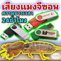 USB เสียงล่อแมงจีซอน เสียงแมงกระชอน (24ชั่วโมง) เสียงล่อแมง ได้ผลแน่นอน 100% FiveStar Shopping Mall