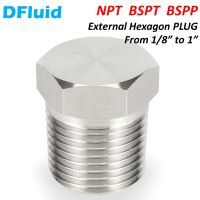 1 pc External Hexagon PLUG NPT BSPT BSPP Thread Pipe Fitting 1/8 1/4 3/8 1/2 3/4 inch 304 316 Stainless Steel replace Swagelok