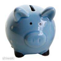 Cute Ceramic Piggy Bank Birthday Gift for Kids