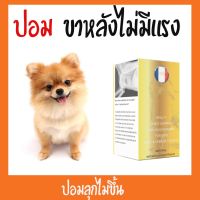 [ลด50%] ส่งฟรี หมาไม่กินข้าว ซึม กินแต่น้ำ หมาซึม ไม่กินข้าว น้ำลายไหล  สุนัขหายใจแรง ไม่กินอาหาร  สุนัขไม่กินอาหาร เอาแต่นอน  สุนัข ซึ