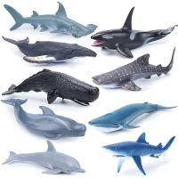 Sea Whale Figurines Cachalot Figures Educational