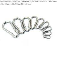 M3/M4/M5/M6/M7/M8/M9/M10/M11/M12/M14 304 Stainless Steel Carabiner Clip Snap Spring Hook Camping Climb Carabina Karabiner Coil Springs