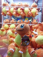 10ชิ้น/ล็อตขายส่งPokemon Anime 20ซม.Charmanderรูปมังกรตุ๊กตาตุ๊กตาPlushของเล่นสำหรับของขวัญเด็ก-WJJEE SHOP