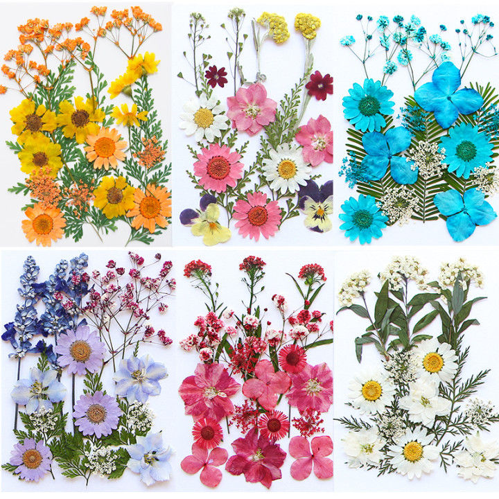 Dried Flowers for Resin Natural Dried Pressed Flowers for DIY Jewelry Molds  Art Crafts Scrapbooking Candle Soap Making Nails D cor Purple