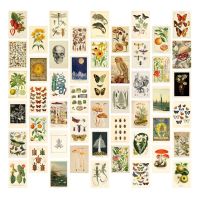 Vintage Aesthetic Wall Collage Kit - 50 Mini Botanical Cottagecore Collage Art Posters (4X6Inch), for Trendy Photo Wall