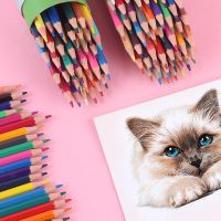 12/24/36 Color Oily Color Pencil Set Childrens Drawing Pen Sketch Comic Coloring Pencil School Art Student Supplies Stationery Drawing Drafting