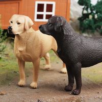 Dog Labrador Retriever Simulation Pet Animal Model Figures Cognition Figurine Miniature Collection Toy For Children Statue Gifts