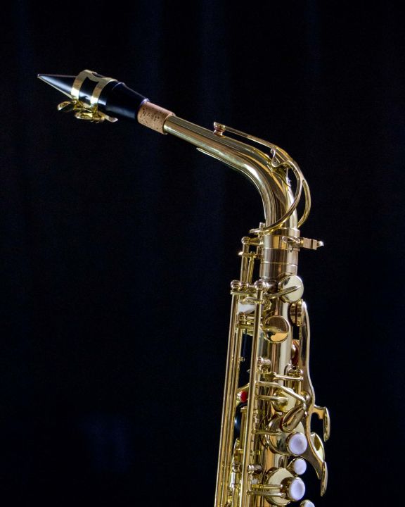 แซกโซโฟน-saxophone-coleman-standard-alto
