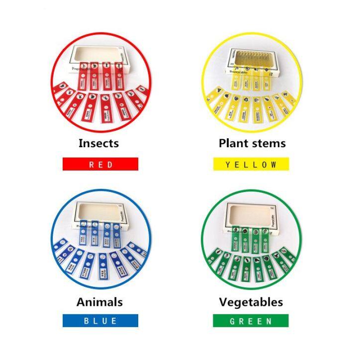 ตัวอย่างแมลงและพืชกล้องจุลทรรศน์ส่องสัตว์เด็กสไลด์ทางวิทยาศาสตร์กล้องจุลทรรศน์ทางชีววิทยา