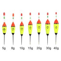 【DT】hot！ Hot 5g 8g 10g 15g 20g 30g 40g EVA Fishing Night Float Lighting Bobber