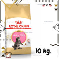 ?Lotใหม่ พร้อมส่งฟรี? ROYAL CANIN MAINE COON KITTEN อาหารลูกแมวพันธุ์เมนคูน อาหารเม็ดลูกแมว ขนาด 10 kg.  ✨