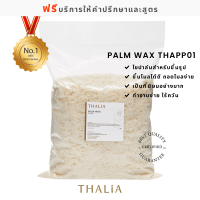 Palm Wax ปาล์มแวกซ์ THA-PP01