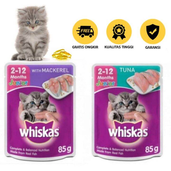 Makanan Basah Kucing Whiskas Junior Pouch 85 gr Free Vitamin Cat Wet