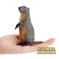 Animal Kingdom - โมเดล Marmot มาร์มอต เทา ขนาด 10.50 CM (จากสงขลา)