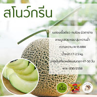 เมล็ดเมล่อนสโนว์กรีน 100 เมล็ด ตราพยัคฆ์ติดปีก เนื้อเขียว ผลไม้ เมล็ดพันธุ์