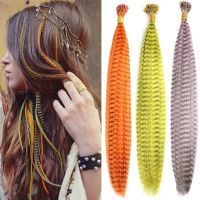 Colored Feather Hair Extension 10 Pieces I Tip Synthetic Extensions Fake Hair Zebra Line Feather Hair Strands Hairpiece Wig  Hair Extensions  Pads