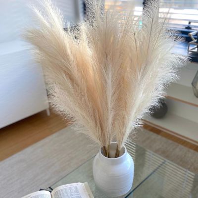 hot【cw】 5Pcs 55cm Artificial Pampas Bouquet Wedding Decoration Fake Reed Boho