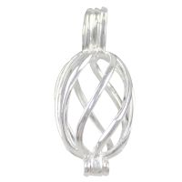 1pcs Plated Lantern Beads Diffuser Locket Pendant Jewelry Making Oyster Fun Gif