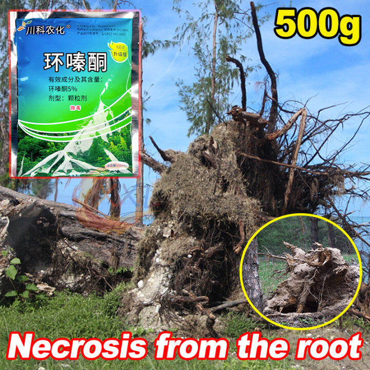 XXL Herbicide To Kill Tree 3 Seconds To Remove Big Trees Kill Tree And   4b51700d0fa5e6dc780f7e89b007fa2a  720x720q80 