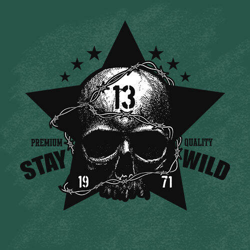ตัวรีดติดเสื้อ-ลายเสื้อ-ลายเสื้อเท่ห์ๆ-f-130-set-15-skull-ตัวรีดติดเสื้อแผ่นฟิล์มรีดร้อน