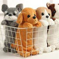 [Toy paradise]ของเล่นตุ๊กตายัดอย่างนิ่มผ้าขนสัตว์ของเล่นกล่องดินสอสำหรับลูกสุนัข Schnauzer โรงเรียนสำนักงานอุปกรณ์กล่องดินสอของขวัญสำหรับเด็ก