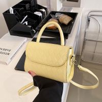 Small square grid bag the new spring 2022 fashion handbag han edition contracted brim one shoulder inclined shoulder bag