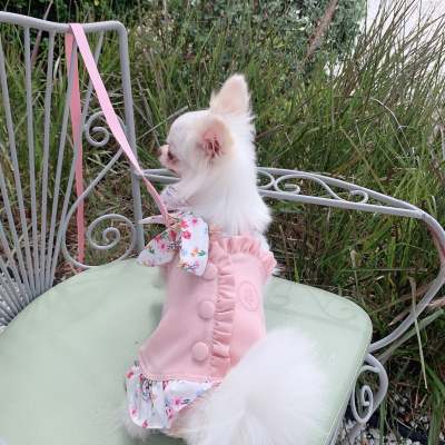 Glitter Pooch ชุดรัดอก สายจูง เสื้อผ้า สุนัข, หมา, แมว, สัตว์เลี้ยง พร้อม สายจูง รุ่น Blooming Tail Peach