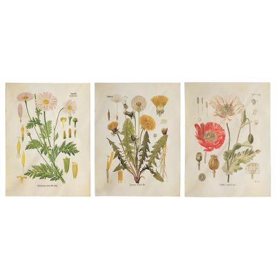 3Pcs Flower Tapestry Wall Hanging Wildflower Plant Floral Tapestry Chart Small Tapestry for Bedroom Living Room