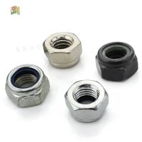 50X M2 M2.5 M3 M4 M5 M6 304 Stainless Steel Carbon Steel Black Zinc-plated Hex Nylon Insert Lock Nut Self-locking Nylock Locknut