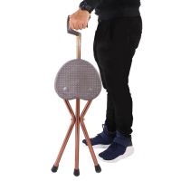 Portable Chair Stool Metal Folding Travel Seat Stick Walking Chair Cane