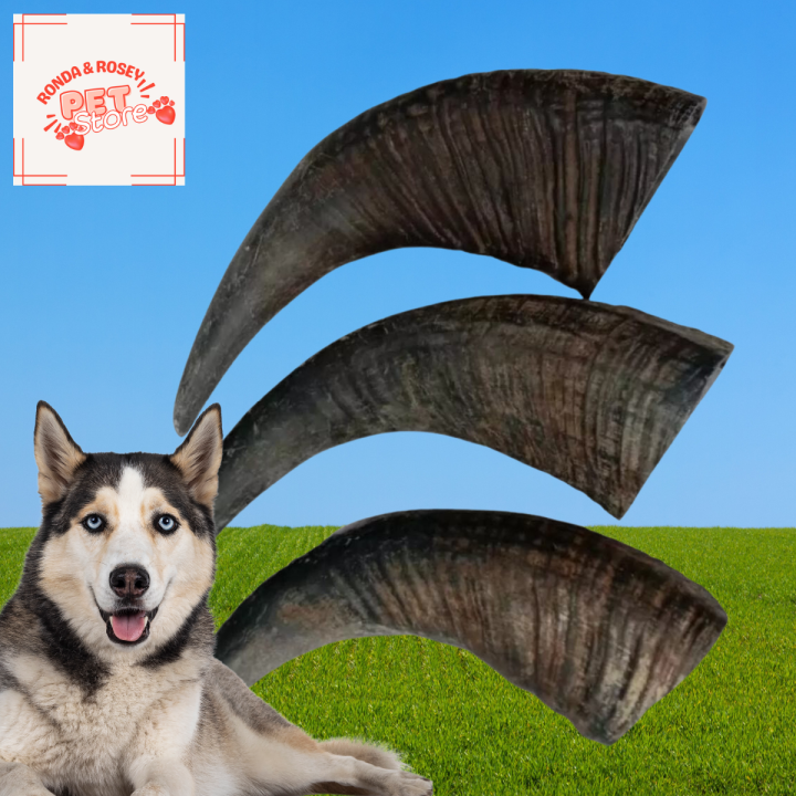 Carabao Horn for Dog teether and treats Lazada PH
