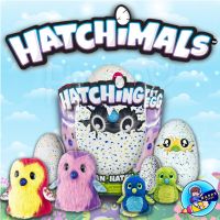 ตุ๊กตาฟักไข่ ไข่ฮาชิมอน Hatchimals Egg ไข่ฟัก ไข่มังกร ไข่นก ไข่ตุ๊กตา