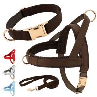 Leather Dog Collar Harness Leash Set Nylon Pet Mesh Vest Harness Pet Leads For Small Medium Large Dogs Collars