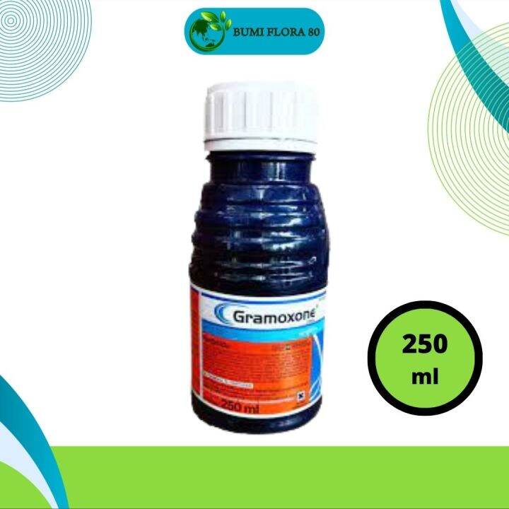 Gramoxone 276sl Herbisida Racun Pembasmi Rumput And Gulma 250ml Lazada