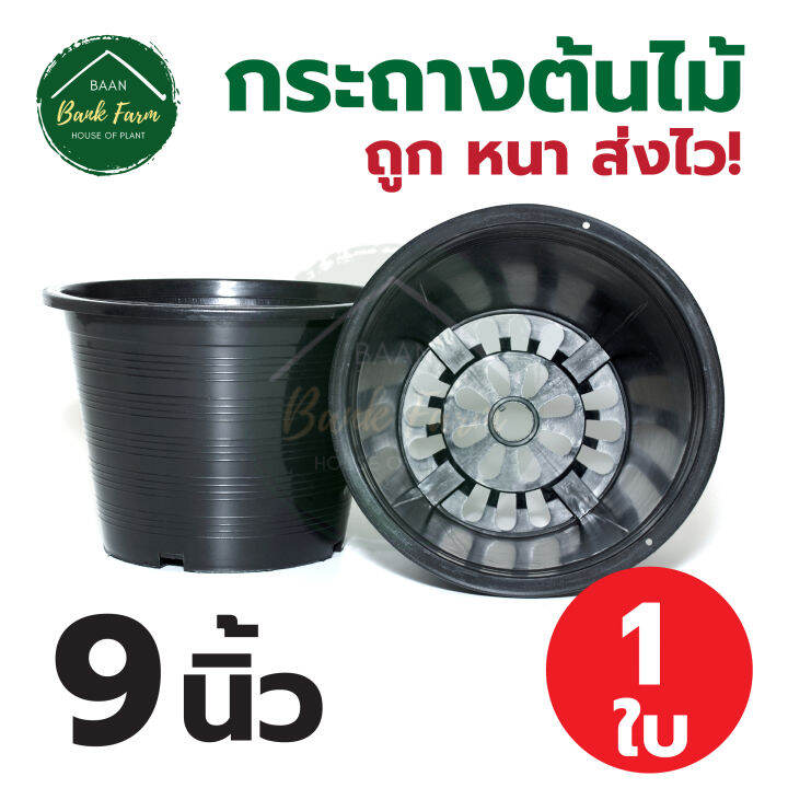 กระถาง9นิ้ว-สีดำ-1-50ใบ-กระถางราคาถูก-กระถางพลาสติก-กระถางต้นไม้-l-บ้านแบงค์ฟาร์ม