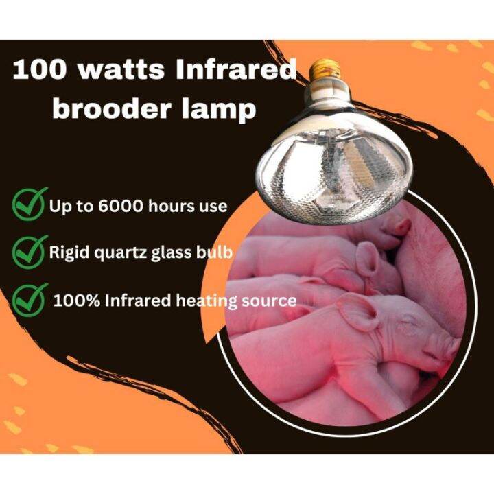 100W for Chicks Piglet Heat Lamp Infrared Light Bulb 100 watts Brooder