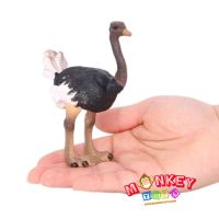 Monkey Toys - โมเดลสัตว์ Ostrich นกกระจอกเทศ ขนาด 11.00 CM (จากหาดใหญ่)