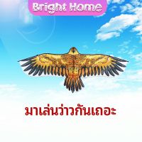 ว่าว นกอินทรีย์ ว่าวไล่นก ว่าวไล่ ศัตรูพืชว่าวเด็ก อุปกรณ์ว่าว kite