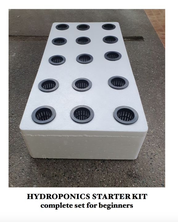 Hydroponics Starter Kit Tuna Box Complete Set | Lazada PH