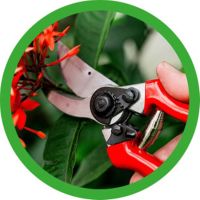 กรรไกรตัดกิ่งไม้ อย่างดี Pruning Shears SOGO ขนาด 8"