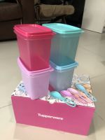 Tupperware กล่องสุดสงวน