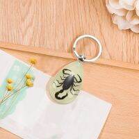 2X Glow-In-The-Dark Real Insect Keychain ()