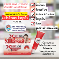 X pert ACNE Hydrogel ผลิตภัณฑ์ดูแลผิวหน้าเจลแต้มสิวอุดตัน สิวอักเสบ ผิวอักเสบ รอยสิว 10 g.