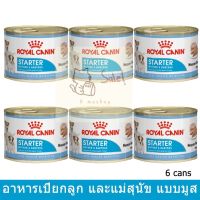 11.11 (6 กระป๋อง) Royal Canin Starter Mousse 195g อาหารเปียกสุนัขสำหรับแม่สุนัขตั้งท้องและลูกสุนัขช่วงเริ่มเลียอาหาร195กรัม