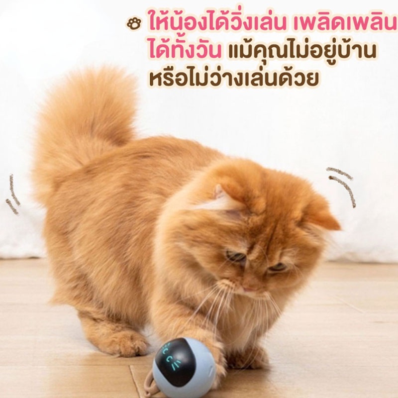 BHQ PET COD ของเล่นแมว ลูกบอลแมว วิ่งเองอัตโนมัติ มีไฟ LED ของเล่นแมวอัตโนมัติ ล่อแมว หมุนได้ 360 องศา สมาร์ทไฟฟ้า