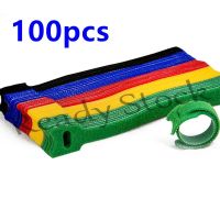 【Ready Stock】 卐✷™ B40 50pcs /100pcs Releasable Cable Ties Colored Plastics Reusable Cable ties Nylon Loop Wrap Zip Bundle Ties T-type Cable Tie Wire